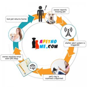 Etichete personalizate de câine și etichete de pisică Oțel inoxidabil Smart Pet ID de etichetare QR Cod scanat GPS Location