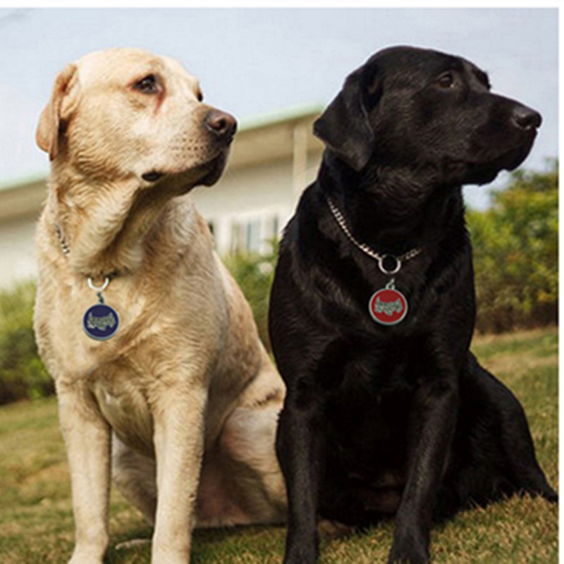 super vânzare câinele sau pisica plăcuţe de identificare inscripţionat sau codul qr pet tag