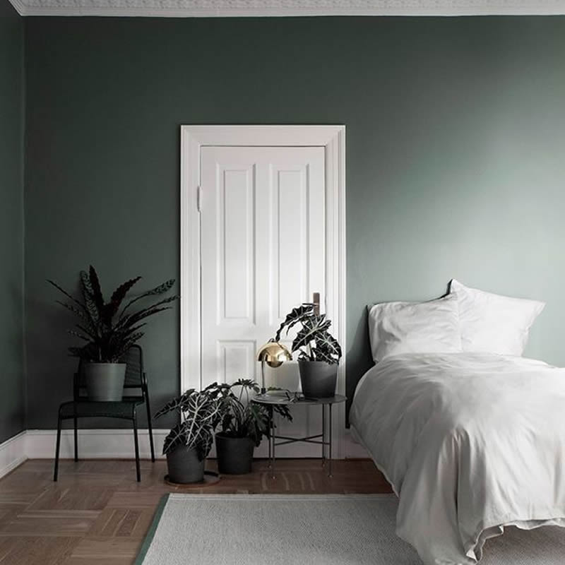 ce fel de mobilă. nu - ţi face griji pentru importul de mobilă în vara?