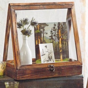 Cutie de afișare din sticlă