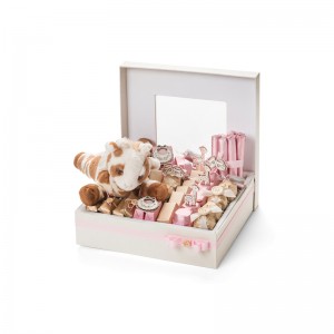 Caseta de ambalare cu macaron cu capac de ambalare cu capac cu macaron