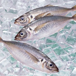 Macrou de cal congelat