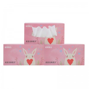 Machiaj Eliminarea ștergării