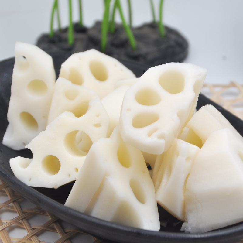 ROOT LOTUS ÎNGERIT