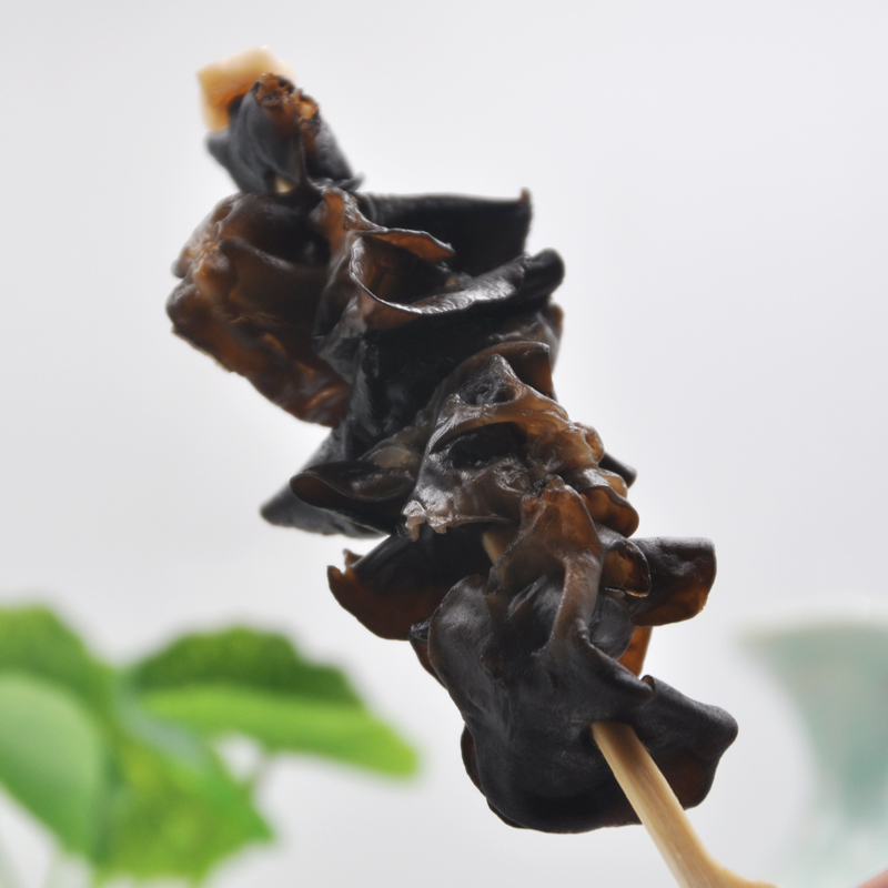 FUNGUSUL NEGRU ÎNGERIT
