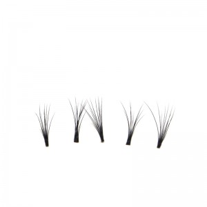 Extensii directe de gene pentru J / B / C / D / L.