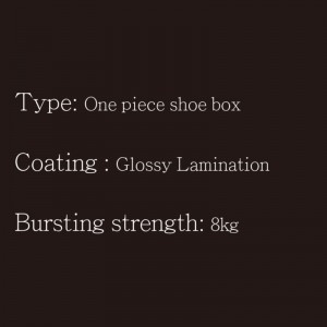 Pantof Box-One Piece-Type3