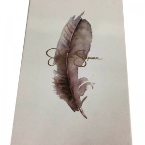 Cutie de pantofi cu capac de tip1