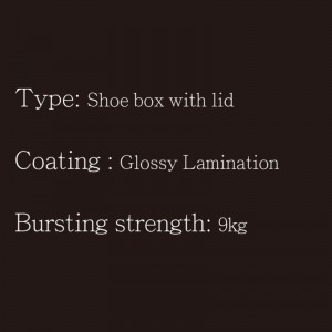 Cutie de pantofi cu capac de tip1