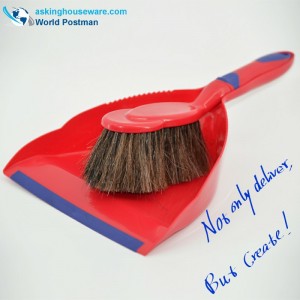 Băiat Akbrand Dustpan perie cu brâu de coadă de cal