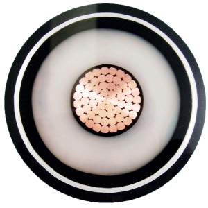 110kv Xlpe HV Cablu de alimentare Compact segmentar compact 1000mm2