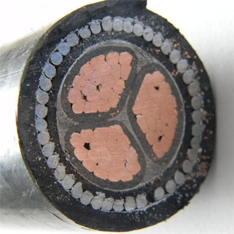 16mm² 3 sârmă de oțel armată cu cablu sârmă de cupru înțepată pentru așezarea în interior