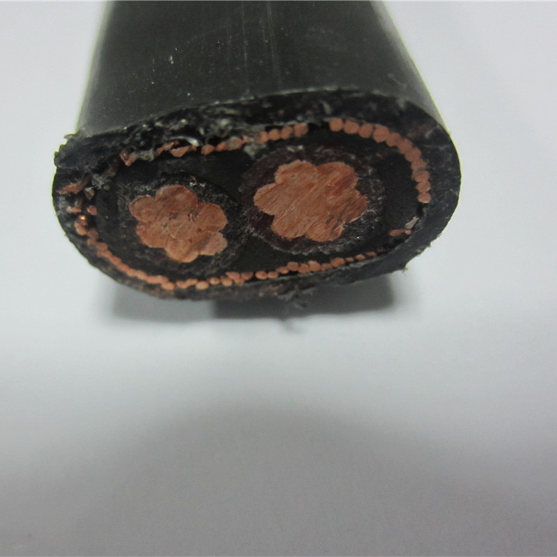 Cablu concentrat 16 mm 25 mm Split 2x8 2x10 3x6 3x8 AWG Cablu de alimentare pentru intrarea în serviciu