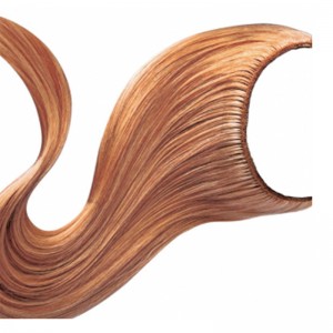 Extensie de sârmă-Coroană 06