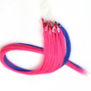 Micro inel - Crown07