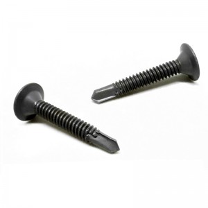 Șuruburi autoforaj pentru cap Wafer