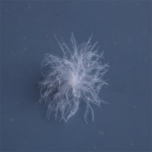 Natural Duck, Material cu pene de gâscă