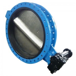 Valva fluture flansa