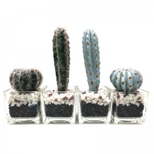 Cactus artificial în ghiveci de sticlă decorativi Faux decorațiuni cu suc pentru casă sau birou