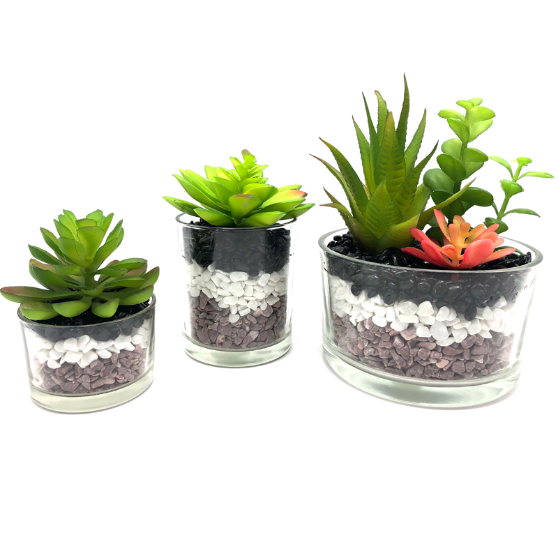 Plante artificiale suculente cu vase de afișare glob decorativ pe tablă