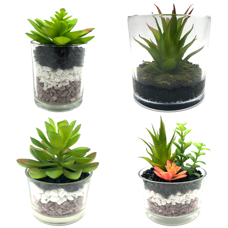Plante artificiale suculente cu vase de afișare glob decorativ pe tablă
