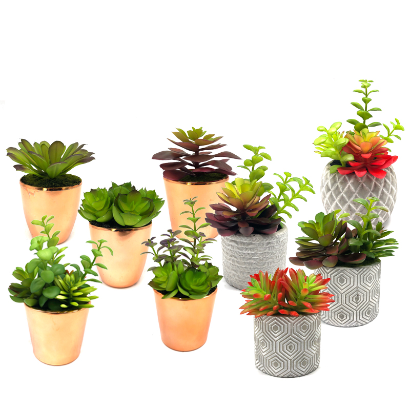 Mini plante artificiale suculente cu oală de masă decorativă Globe decorative pentru casă