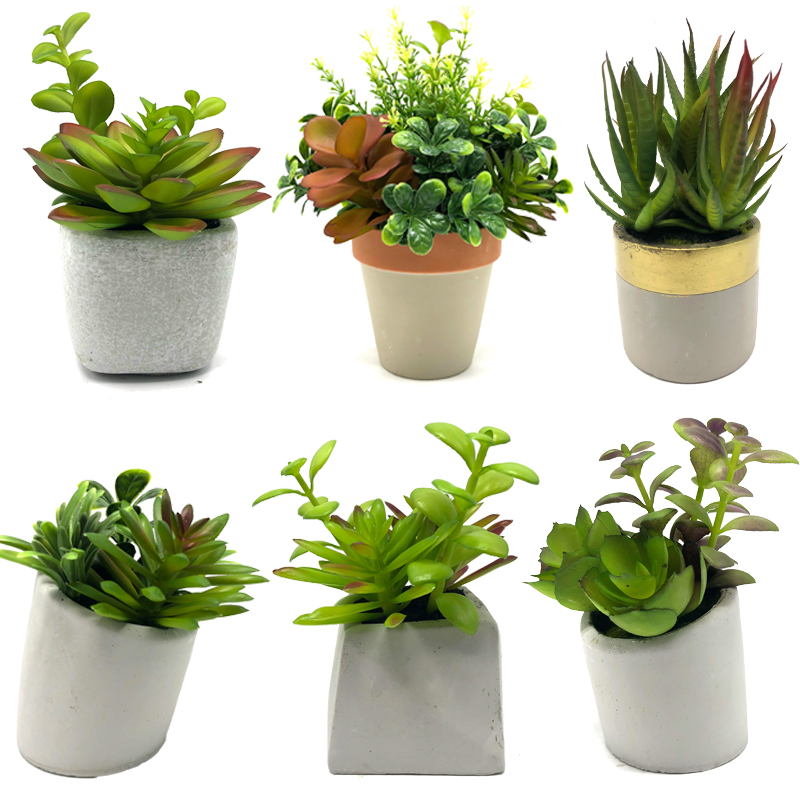 Mini plante artificiale suculente cu oală de masă decorativă Globe decorative pentru casă