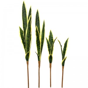 Limba artificială a mamei avocate, bună ca planta de șarpe