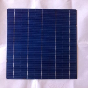 Celulă policristalină