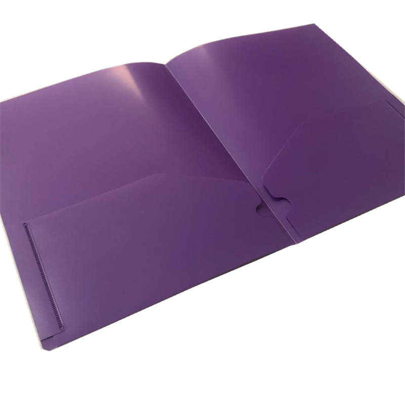 PP folder care extinde fișierul / 2 Pocket Folder