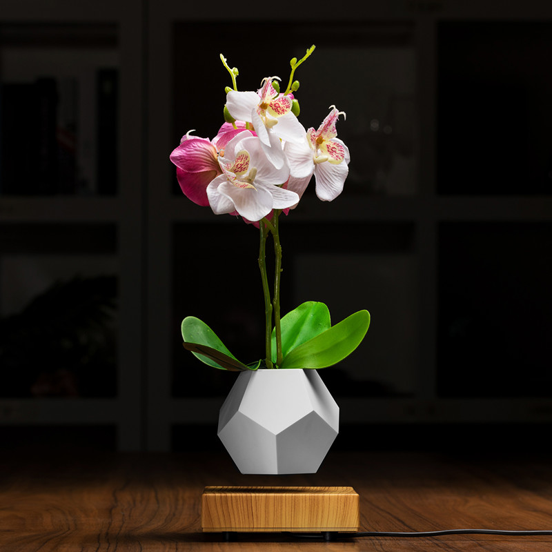 Mașini de plătit magnetice cu bonsai cu aer flotant PA-0708