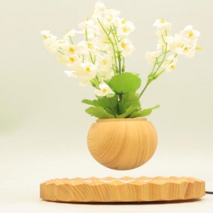 360 rotativă magnetică cu levitație cu flotant cu aer de bonsai, instalație PA-0701