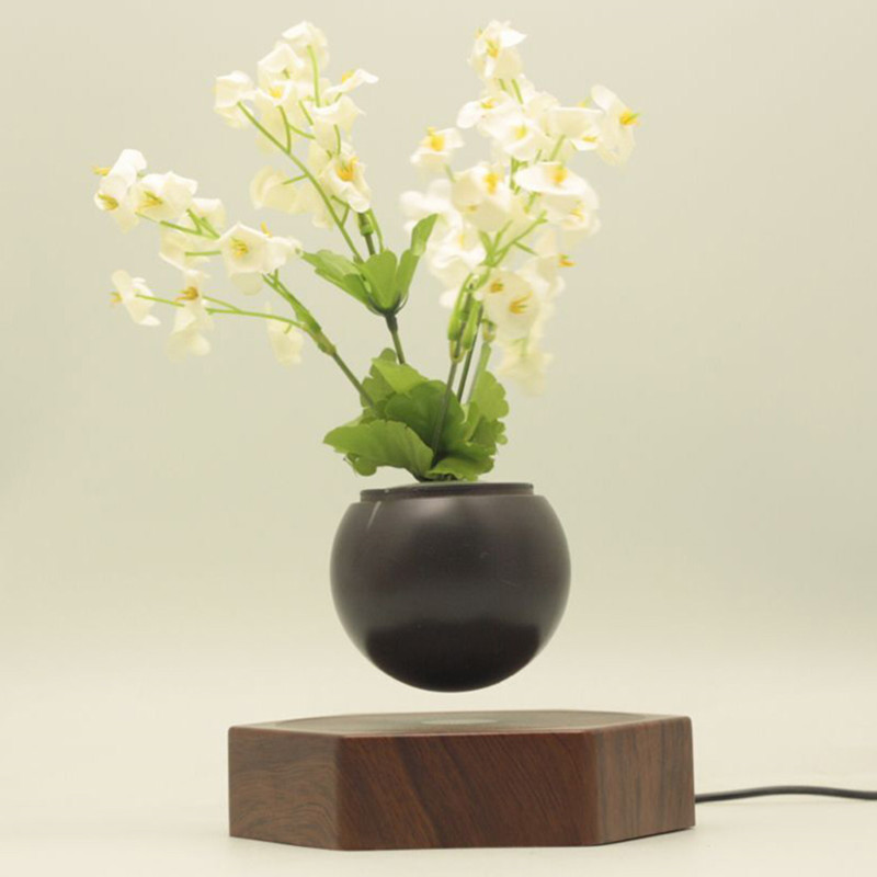 Mașină de plantat cu ghiveci magnetice din lemn plutitor cu bonsai PA-0720