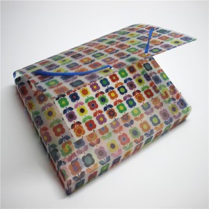 PP din dosar cutie de plastic cu elastic