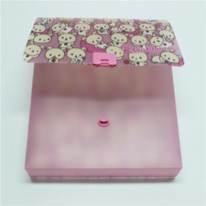 Cutie de fișiere personalizate din plastic Geantă de fișiere Cutie de fișiere agățate
