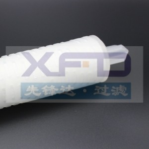 Cartuș filtrant plisat --- RFG