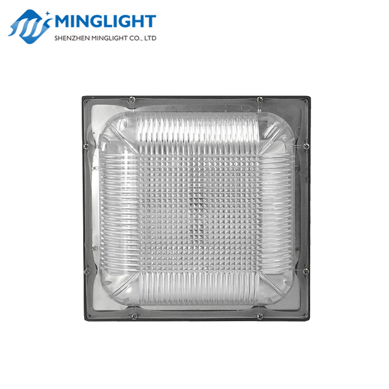 Lumina de baldachin LED CNPA 100W