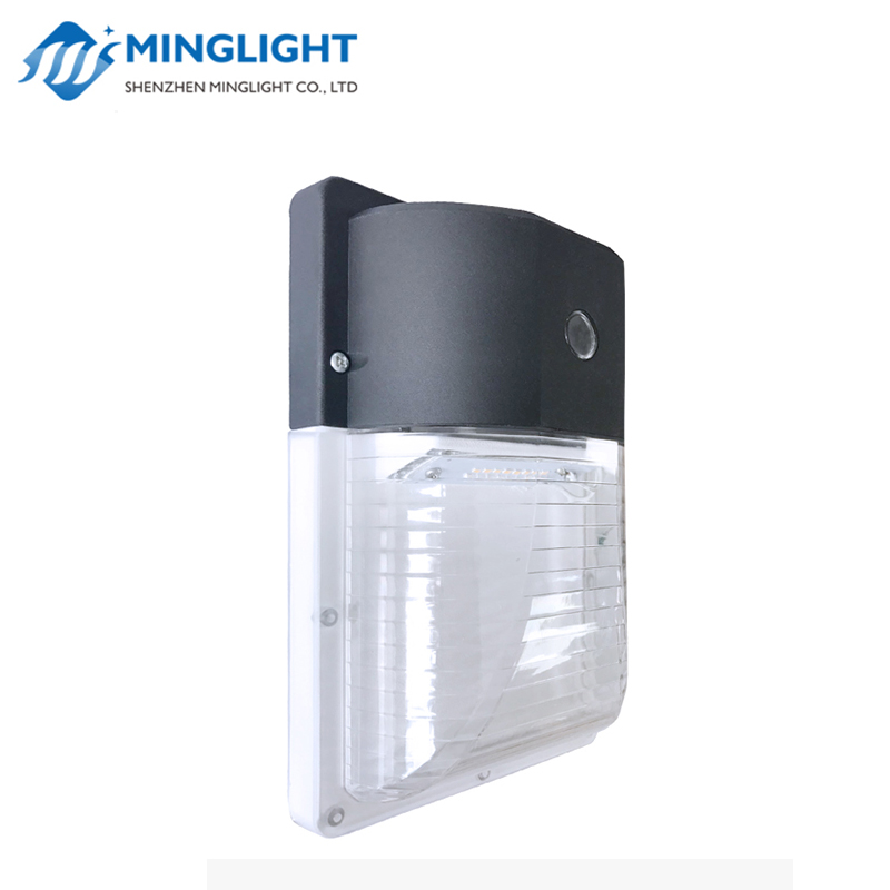 LED pachet de perete Light WPA 13W