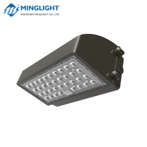 Aplicație de perete cu LED WPC2 100W