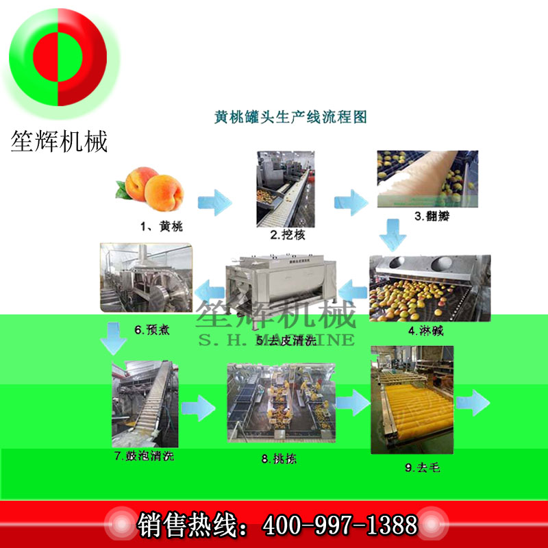 Linie de producție mare de prelucrare a fructelor / linie de producție galbenă de prelucrare a piersicii