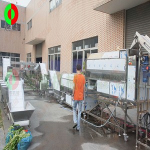 Liniile mari de legături și de tăiere a legumelor și fructelor