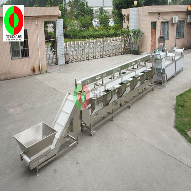 Mașină de spălat legume multifuncțională / linie de producție a mașinii de spălat legume / linie de producție de prelucrare a legumelor curate în trei straturi