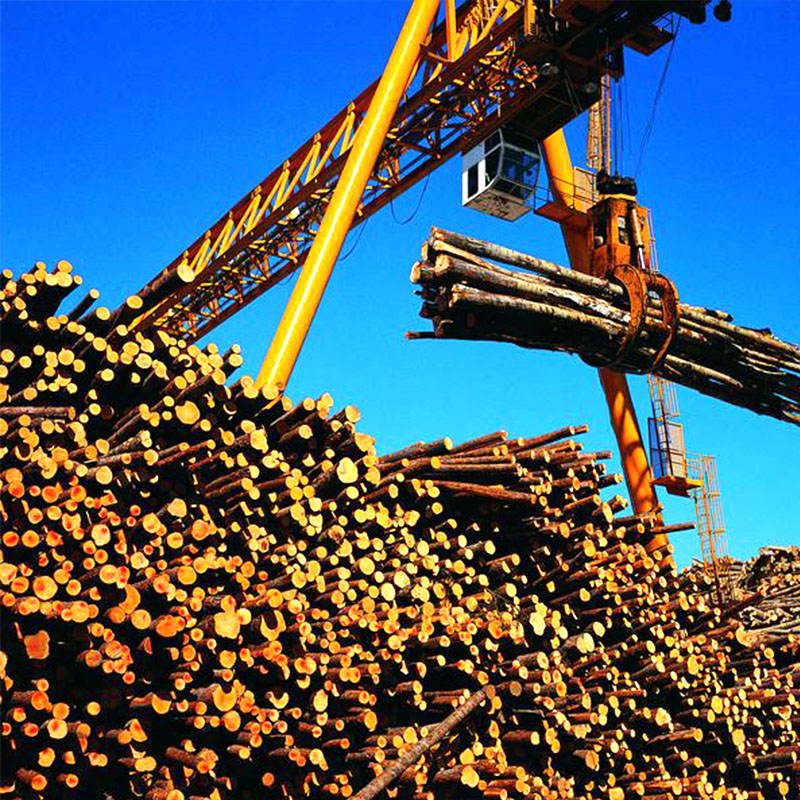 Macara Gantry cu Grab