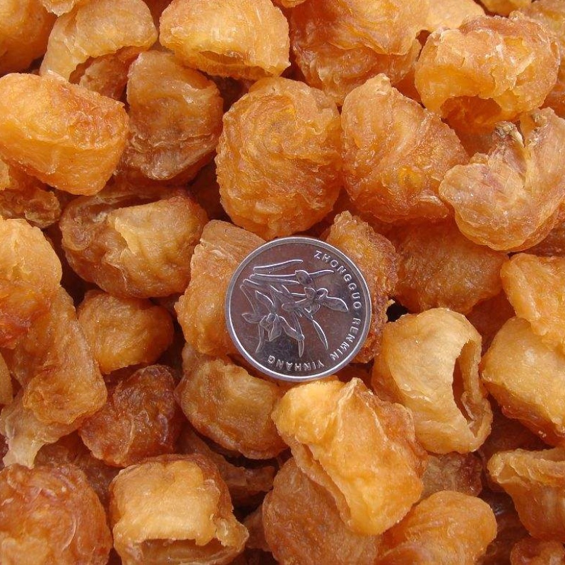 Carnea Longan