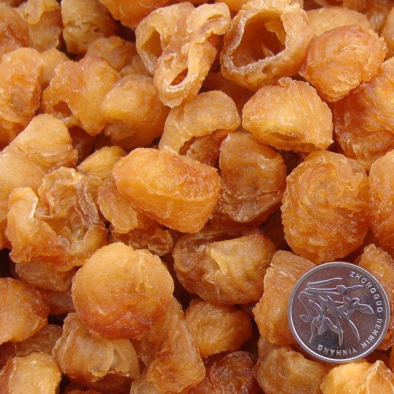 Carnea Longan