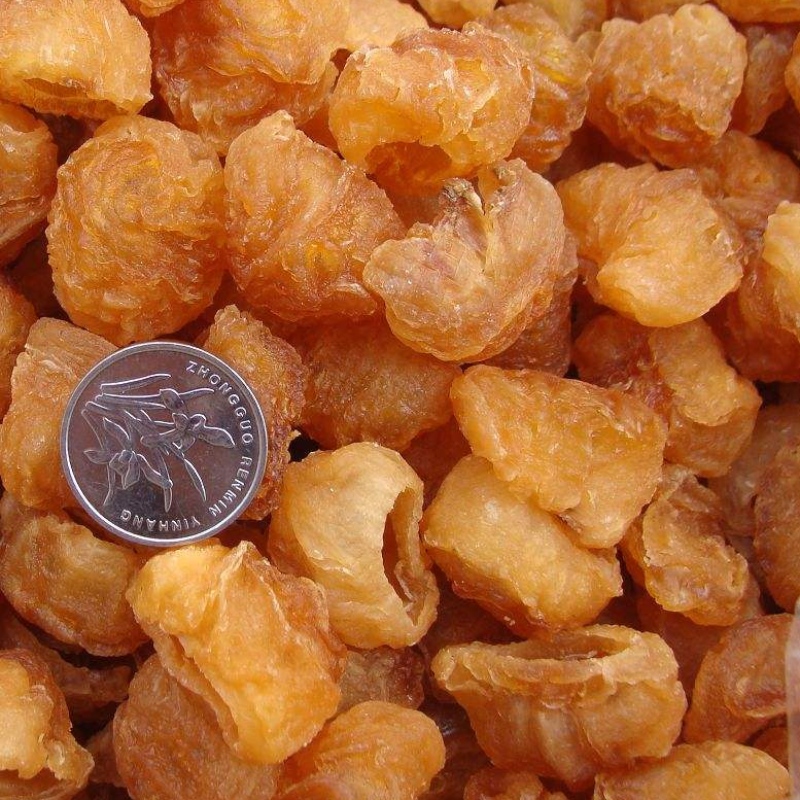 Carnea Longan
