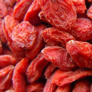 Wolfberry chinezesc