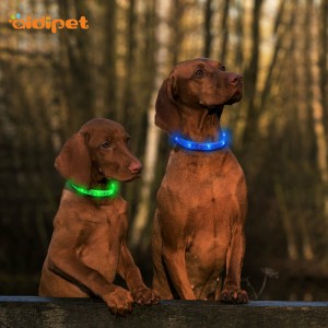 Promoțional colorat Usb reîncărcător intermitent intermitent silicon led guler de control de la distanță guler pentru animale de companie impermeabil și leashes