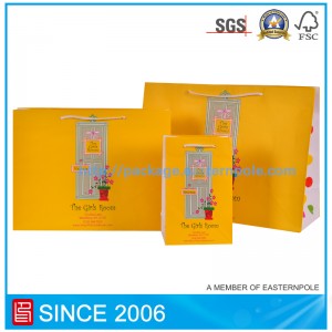 Pungă de hârtie de cadou frumoasă