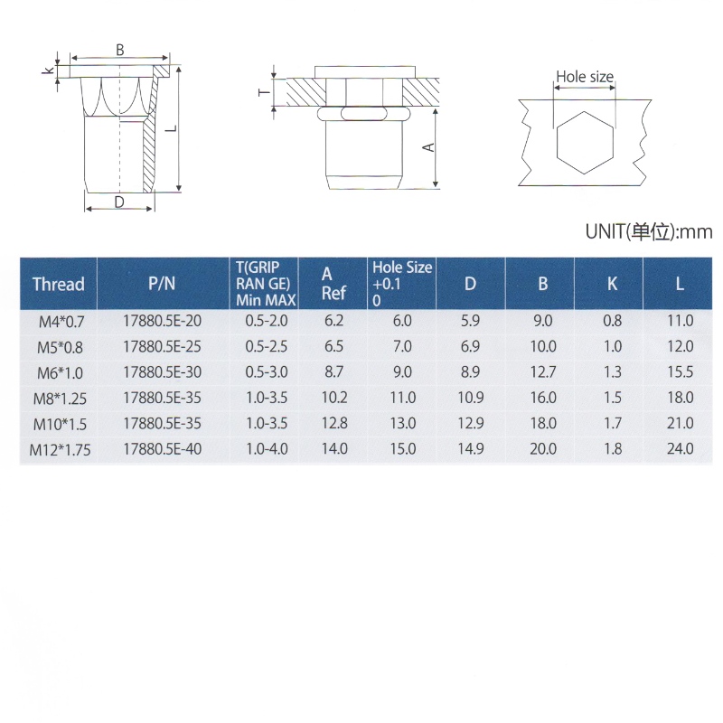 Cap plat cu corp hex interior